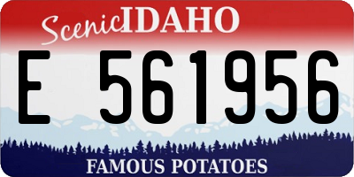 ID license plate E561956