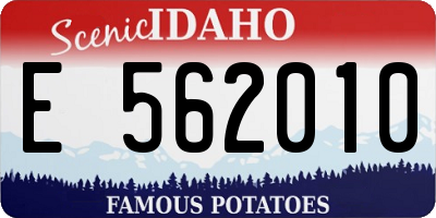 ID license plate E562010