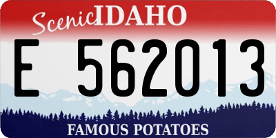 ID license plate E562013