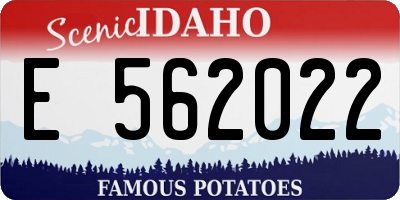 ID license plate E562022