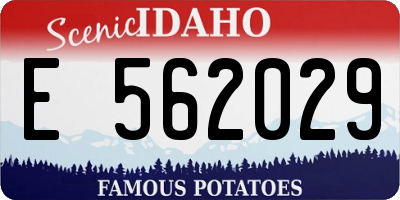 ID license plate E562029