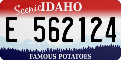 ID license plate E562124