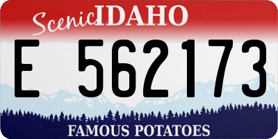 ID license plate E562173