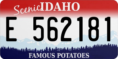 ID license plate E562181