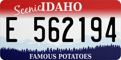 ID license plate E562194