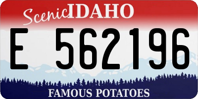 ID license plate E562196