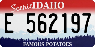 ID license plate E562197