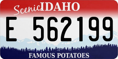 ID license plate E562199