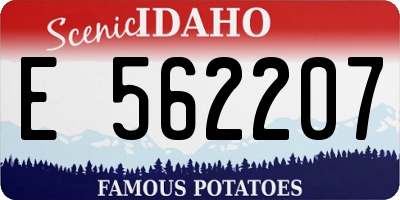 ID license plate E562207