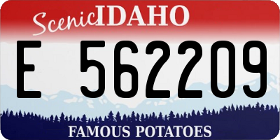 ID license plate E562209