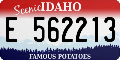 ID license plate E562213