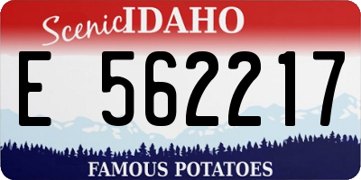 ID license plate E562217