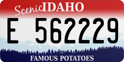 ID license plate E562229