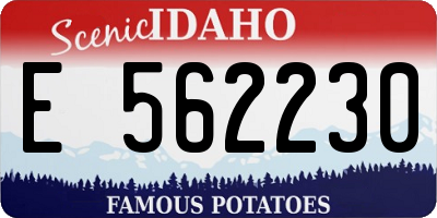 ID license plate E562230
