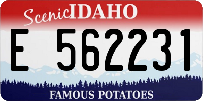 ID license plate E562231