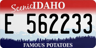 ID license plate E562233