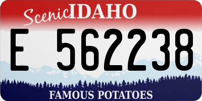 ID license plate E562238