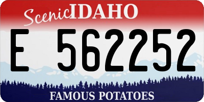 ID license plate E562252