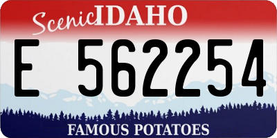ID license plate E562254