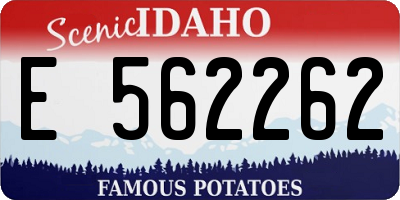 ID license plate E562262