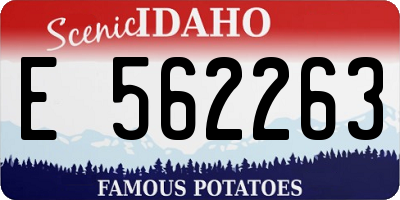 ID license plate E562263