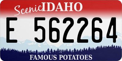 ID license plate E562264