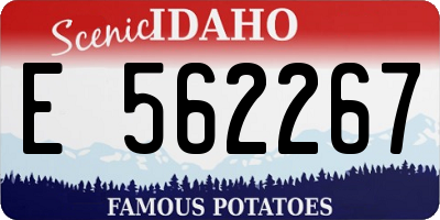 ID license plate E562267