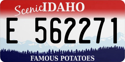 ID license plate E562271