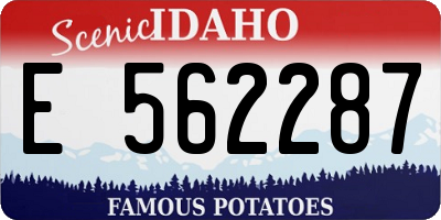 ID license plate E562287