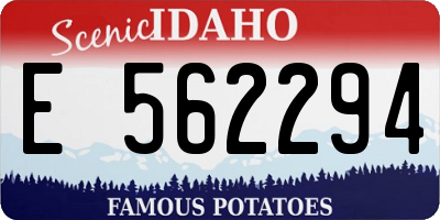 ID license plate E562294
