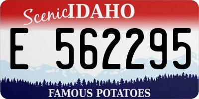 ID license plate E562295