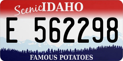 ID license plate E562298