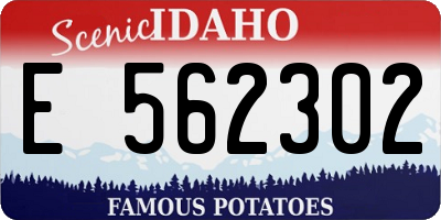 ID license plate E562302