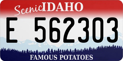 ID license plate E562303
