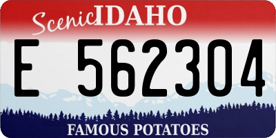 ID license plate E562304
