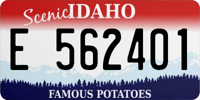 ID license plate E562401