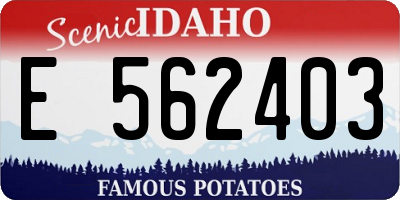 ID license plate E562403