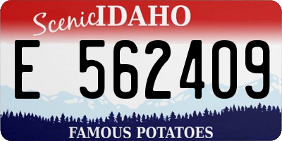 ID license plate E562409