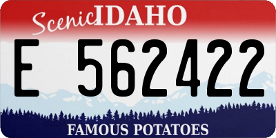 ID license plate E562422