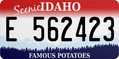 ID license plate E562423