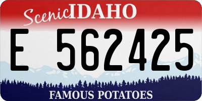 ID license plate E562425