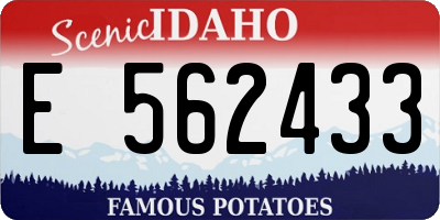 ID license plate E562433