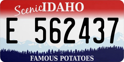 ID license plate E562437