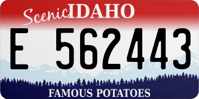 ID license plate E562443