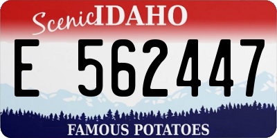 ID license plate E562447