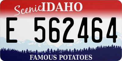 ID license plate E562464