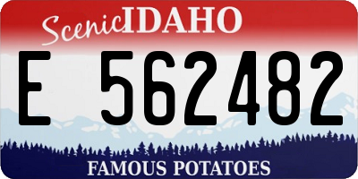 ID license plate E562482
