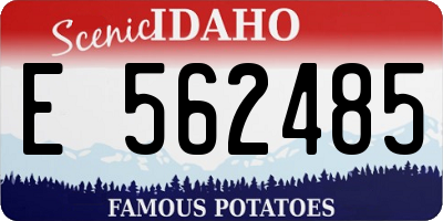 ID license plate E562485