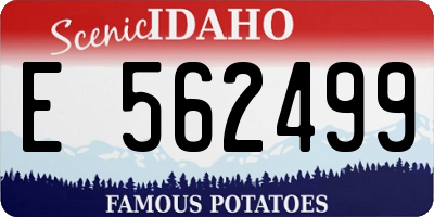 ID license plate E562499
