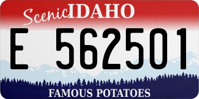 ID license plate E562501